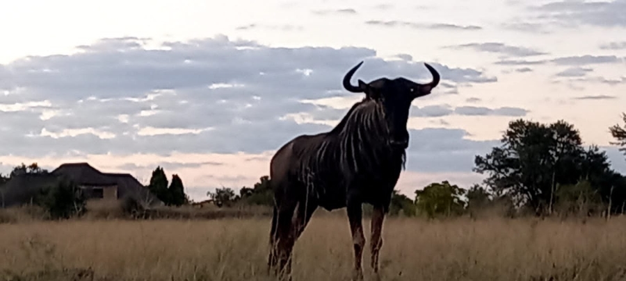 Commercial Property for Sale in Orkney Rural North West